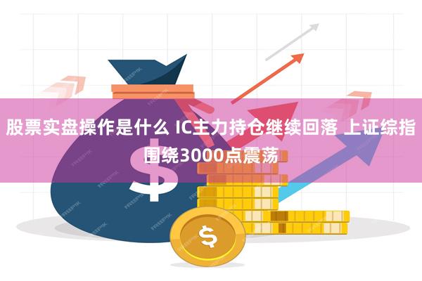 股票实盘操作是什么 IC主力持仓继续回落 上证综指围绕3000点震荡