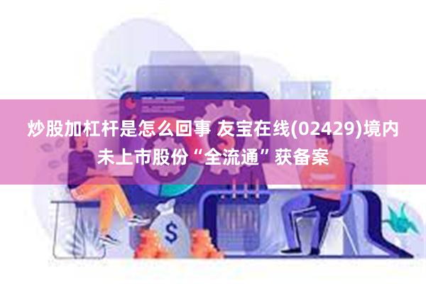 炒股加杠杆是怎么回事 友宝在线(02429)境内未上市股份“全流通”获备案