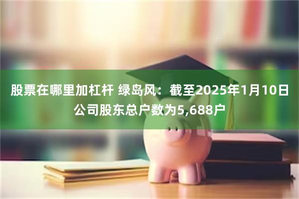 股票在哪里加杠杆 绿岛风：截至2025年1月10日公司股东总户数为5,688户