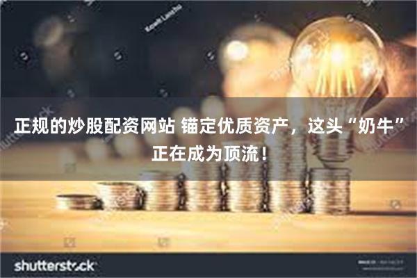 正规的炒股配资网站 锚定优质资产，这头“奶牛”正在成为顶流！