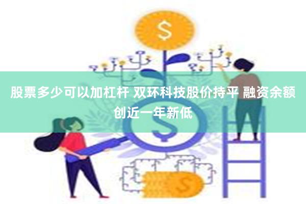 股票多少可以加杠杆 双环科技股价持平 融资余额创近一年新低