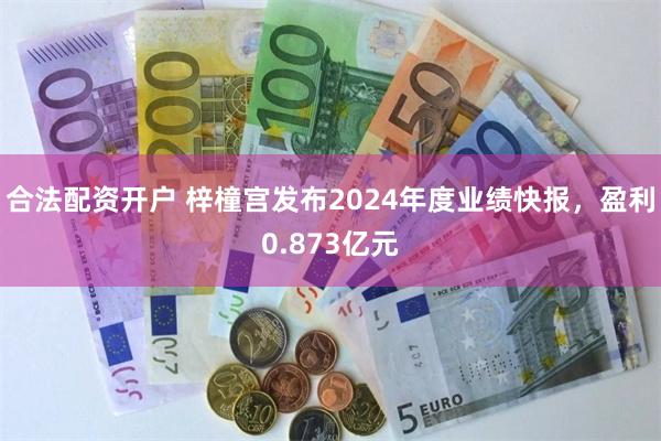 合法配资开户 梓橦宫发布2024年度业绩快报，盈利0.873亿元