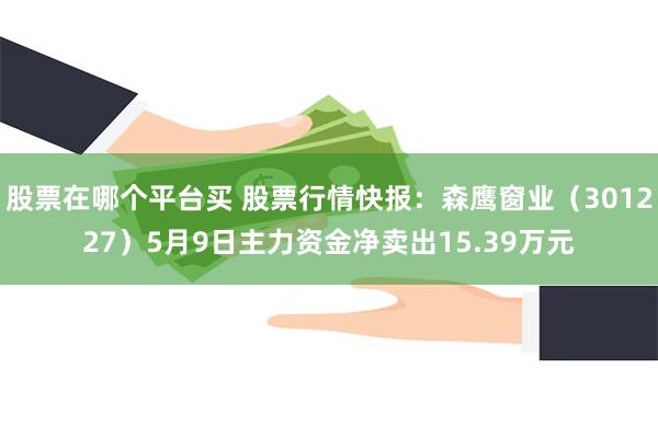股票在哪个平台买 股票行情快报：森鹰窗业（301227）5月9日主力资金净卖出15.39万元