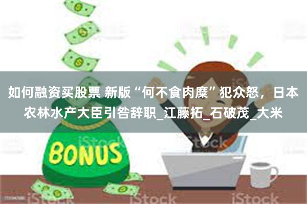 如何融资买股票 新版“何不食肉糜”犯众怒，日本农林水产大臣引咎辞职_江藤拓_石破茂_大米