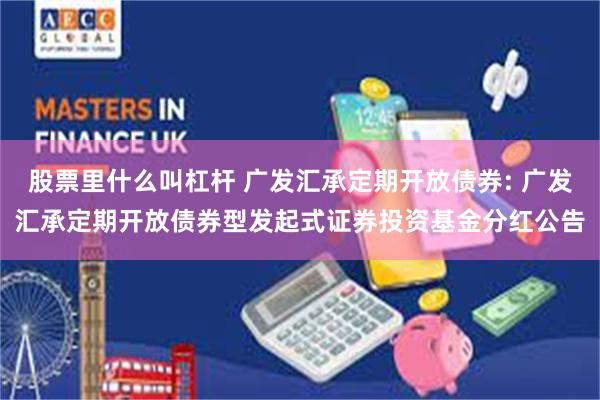 股票里什么叫杠杆 广发汇承定期开放债券: 广发汇承定期开放债券型发起式证券投资基金分红公告