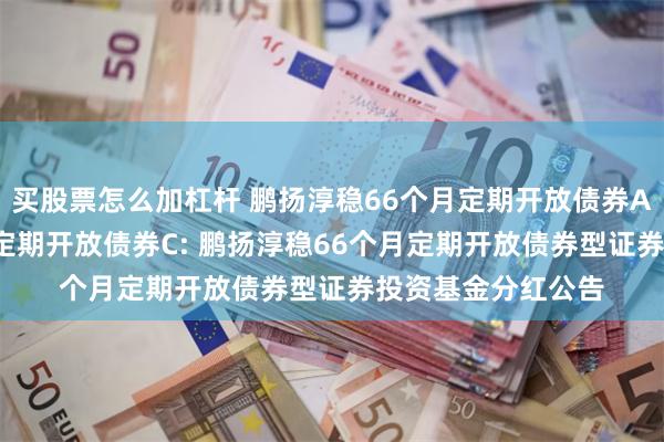 买股票怎么加杠杆 鹏扬淳稳66个月定期开放债券A,鹏扬淳稳66个月定期开放债券C: 鹏扬淳稳66个月定期开放债券型证券投资基金分红公告