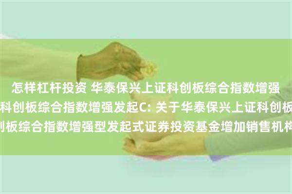 怎样杠杆投资 华泰保兴上证科创板综合指数增强发起A,华泰保兴上证科创板综合指数增强发起C: 关于华泰保兴上证科创板综合指数增强型发起式证券投资基金增加销售机构及开通相关业务的公告